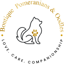 BPO no bg-01 (1)
